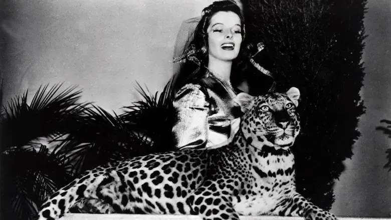 La fiera de mi niña - Fondo