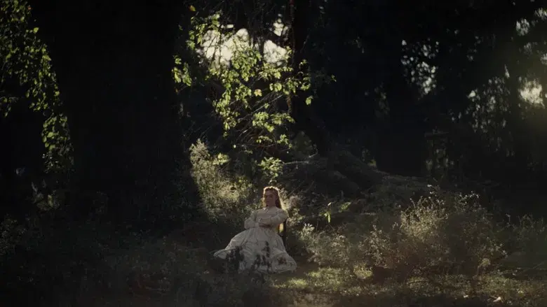 La seducción - Fondo