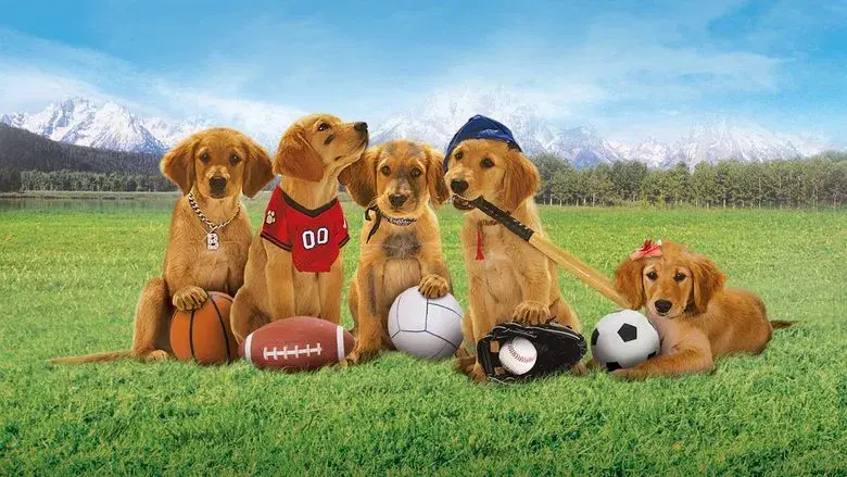 Air Buddies - Fondo