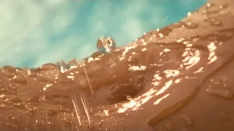 Playboy: Wet & Wild V - Fondo