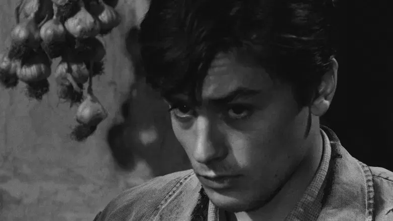 Rocco y sus hermanos - Fondo