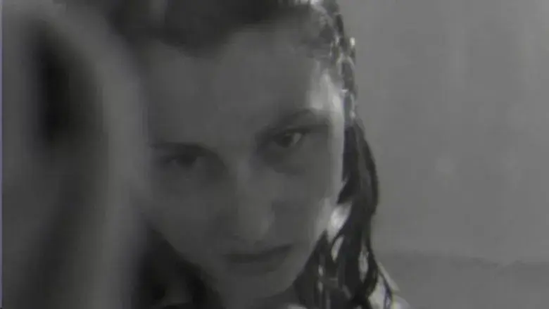 El mundo de Wayne II. La venganza del tiburón