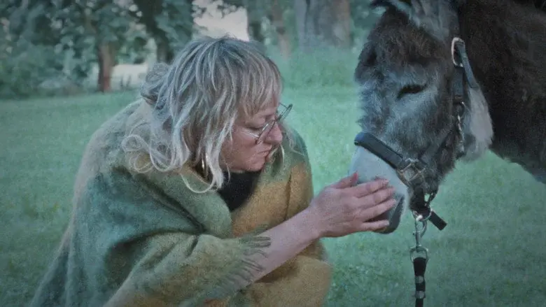 Donkey Days - Fondo