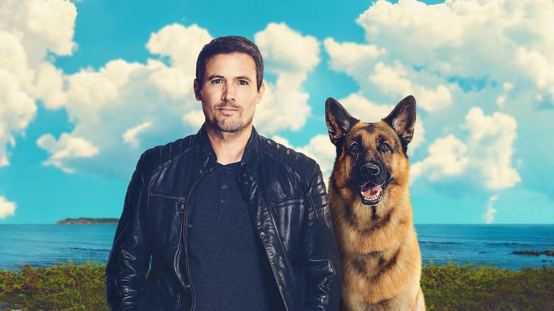 Hudson & Rex - Fondo