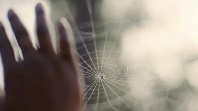 Los chicos de la Nickel - Fondo