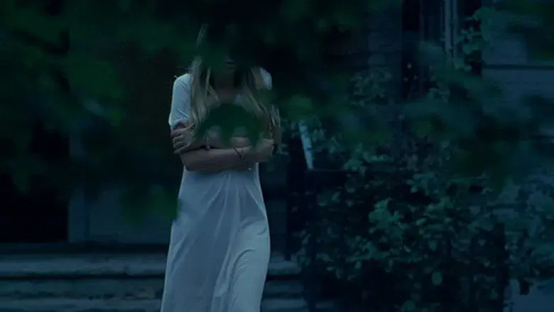 Las vírgenes suicidas - Fondo