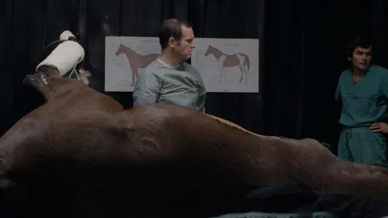 Como en la vida real - Fondo