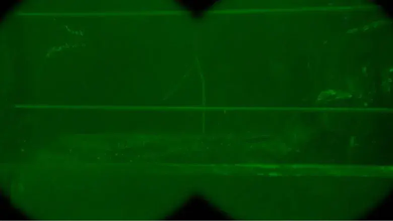 Jurassic Park (Parque Jurásico) - Fondo