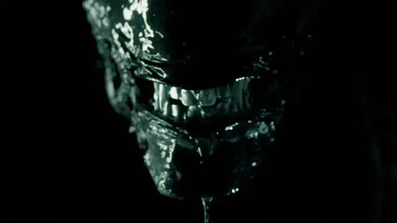 Alien vs. Predator - Fondo