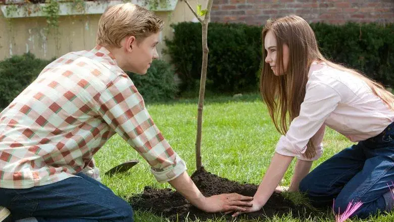 Flipped - Fondo
