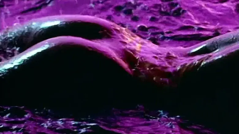 Playboy's Wet & Wild - Fondo