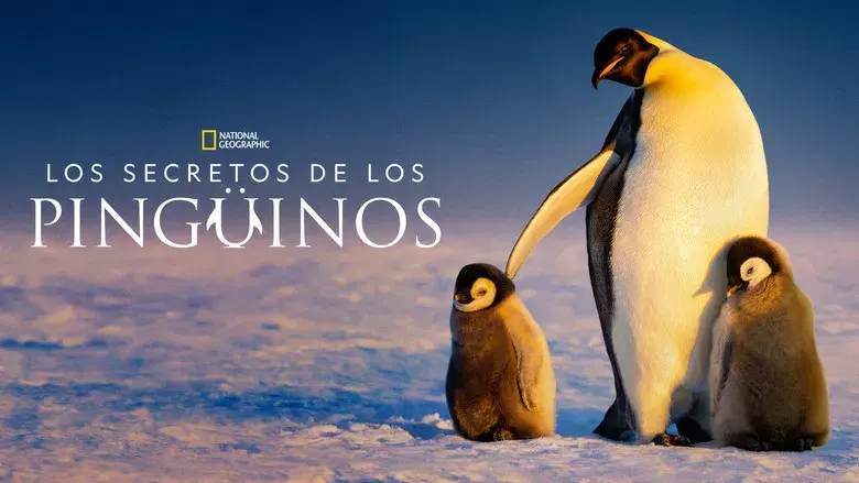 Los secretos de los pingüinos - Fondo