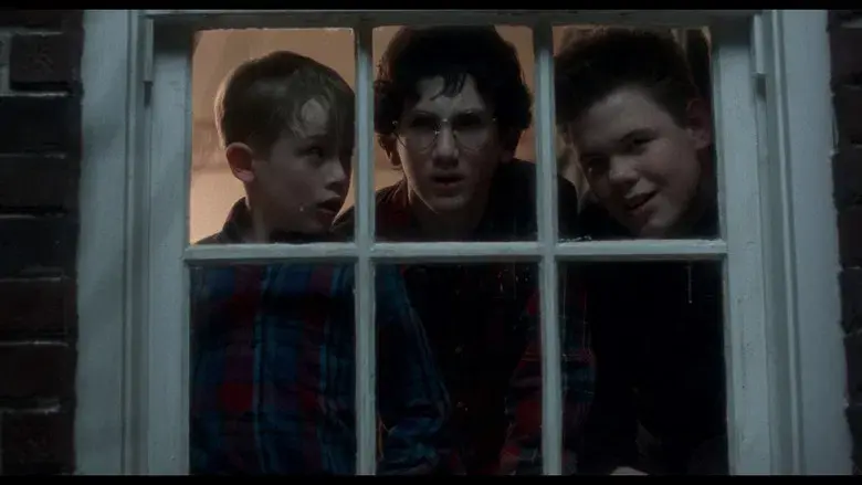 Solo en casa - Fondo