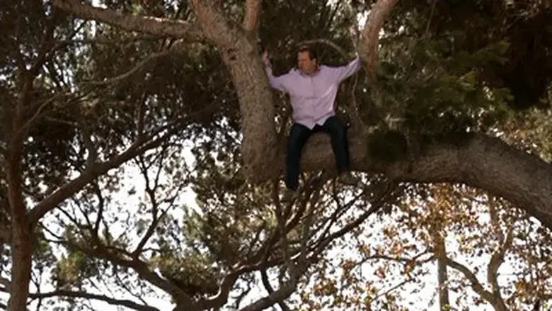 Cuando cae un árbol