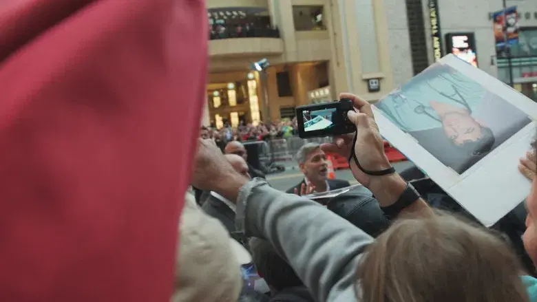 Hollywood Signs - Fondo