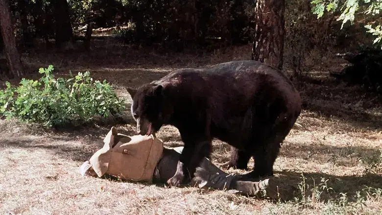 Un hijo como su padre