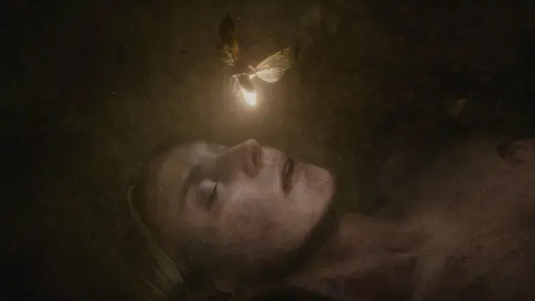 Los sudarios - Fondo