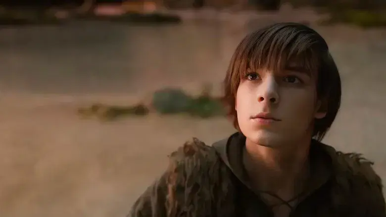 Cómo entrenar a tu dragón - Fondo