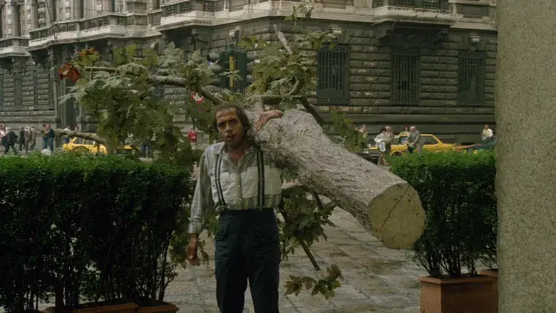 Bingo Bongo - Backdrop