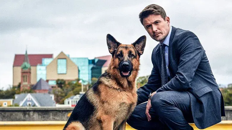 Hudson & Rex - Fondo