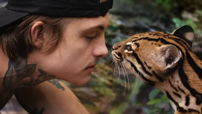 Gato salvaje - Fondo