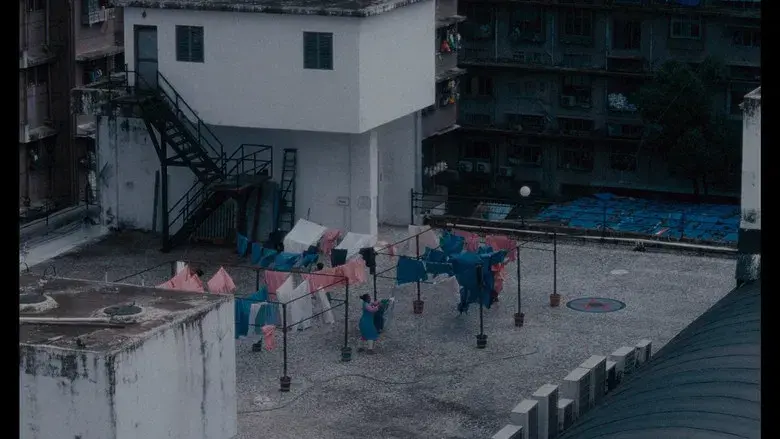 La luz que imaginamos - Fondo