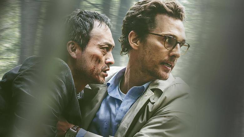 El bosque de los sueños - Fondo