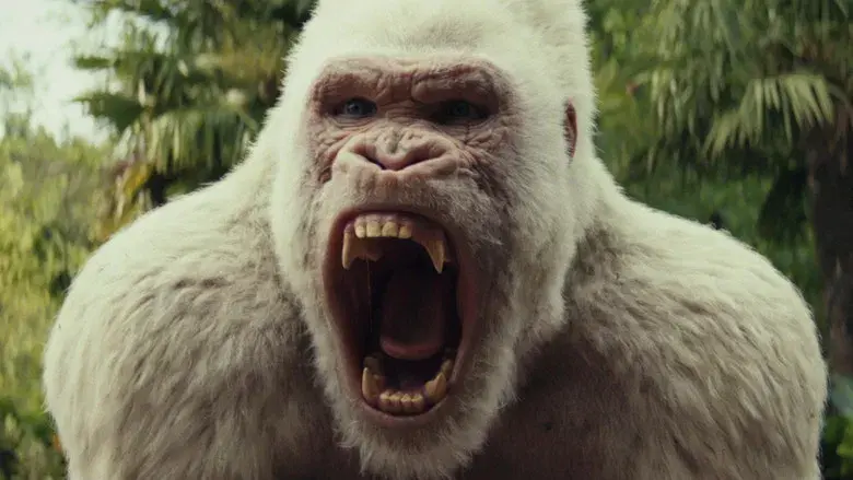 Proyecto Rampage - Fondo