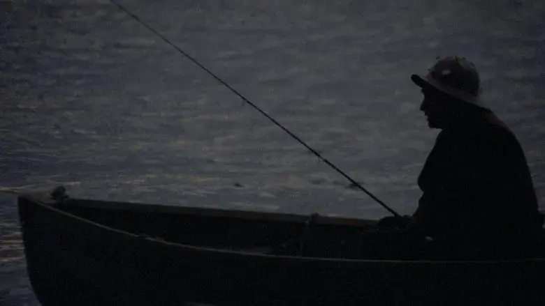 El Padrino Parte II - Fondo