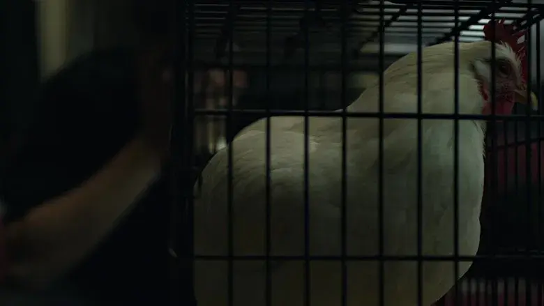 La red social - Fondo