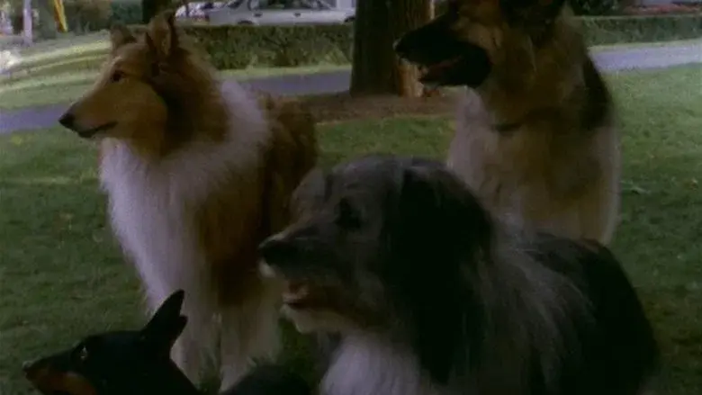 Aventura espeluznante