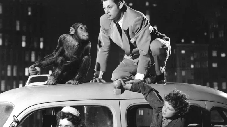 Tarzán en Nueva York - Fondo