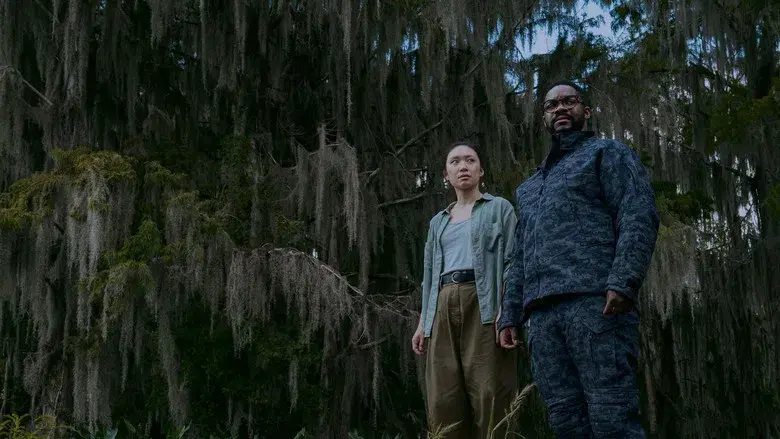 El problema de los 3 cuerpos - Fondo