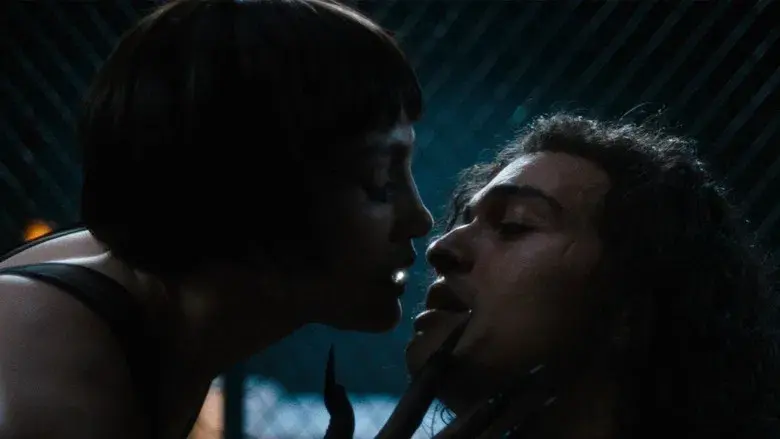 El beso de la mujer araña - Fondo