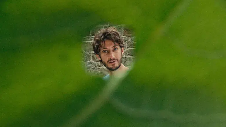 El libro de las soluciones - Fondo