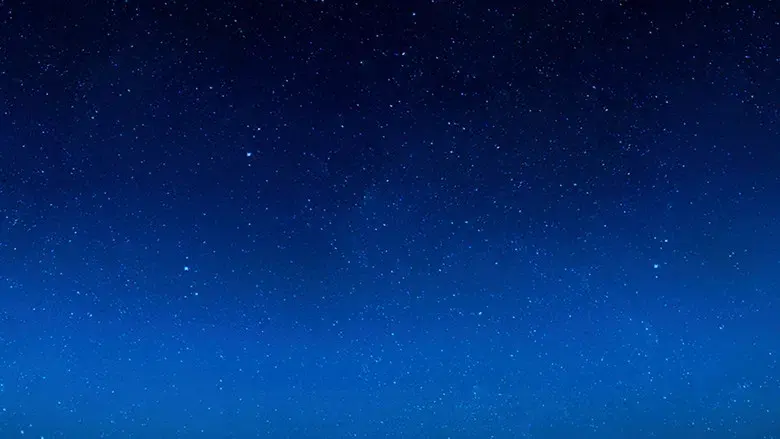 The Daily Show - Fondo