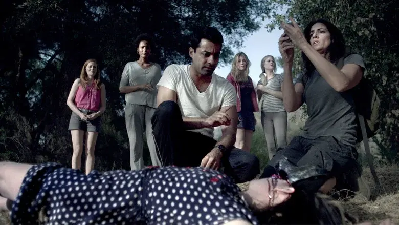 Crazy Bitches - Fondo