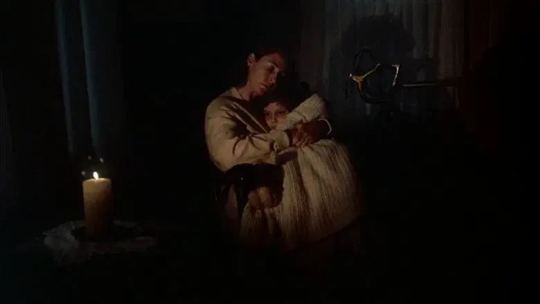 Testamento final - Fondo