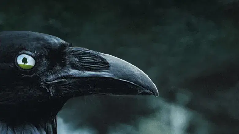 A dos metros bajo tierra - Fondo