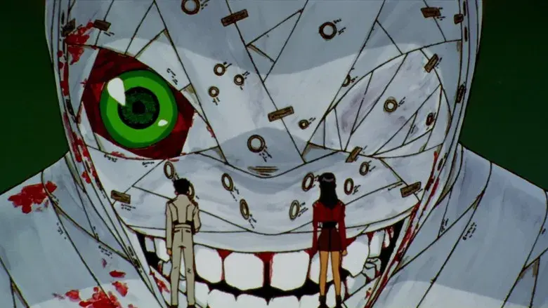 La forma del corazón y del ser humano