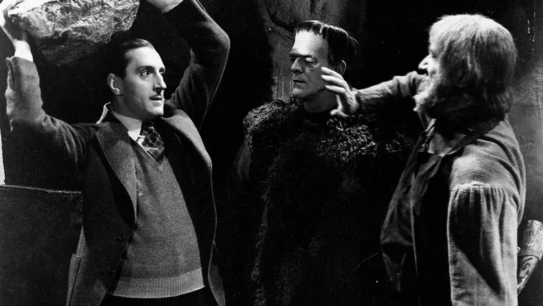 La sombra de Frankenstein - Fondo