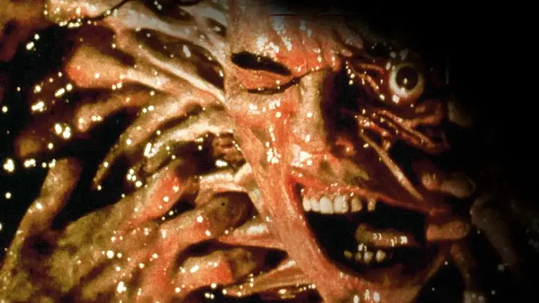 Amityville VI: Es cuestión de tiempo - Fondo