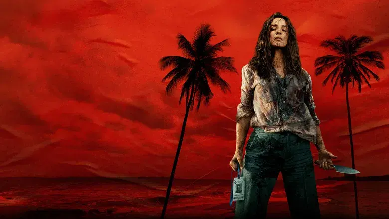 SEND HELP (Enviad ayuda) - Fondo