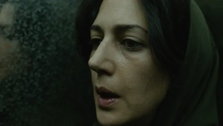 Araña sagrada - Fondo