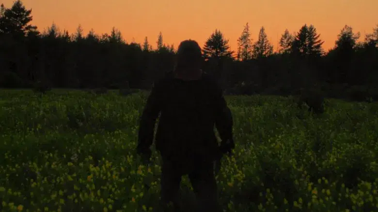 De naturaleza violenta - Fondo