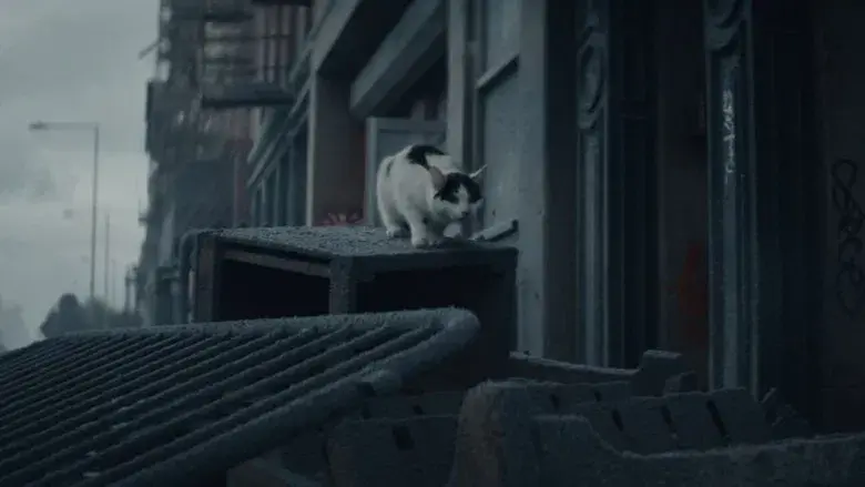 Un lugar tranquilo: Día uno - Fondo