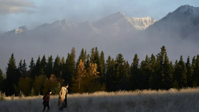 ¿Cómo se traduce este amor? - Fondo