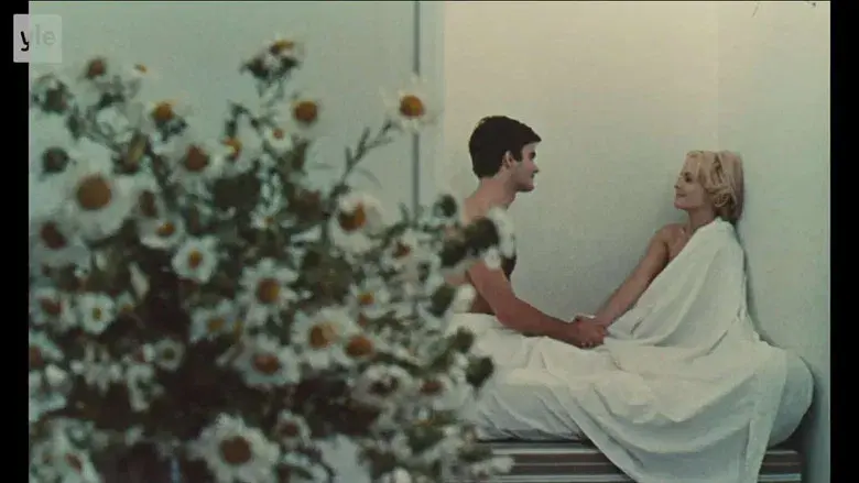 La felicidad - Fondo