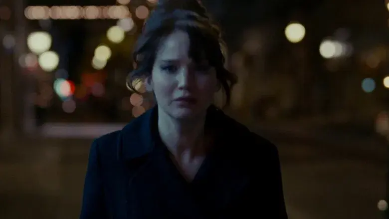 El lado bueno de las cosas - Fondo