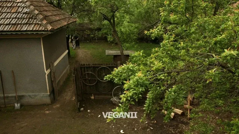 Episodio 10